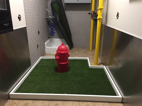 This Pet Relief Area In An Airport Mildlyinteresting