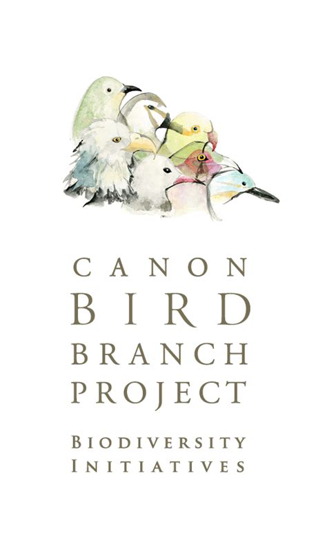 Canon Bird Branch Project Canon Global