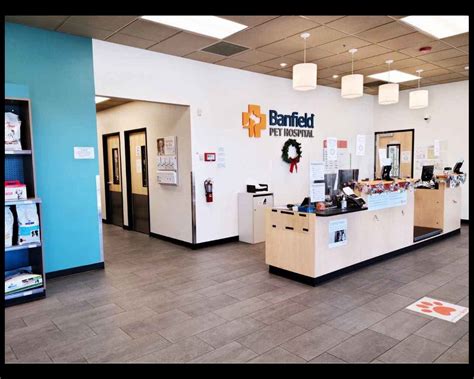 Veterinarians in Ocoee | Banfield Pet Hospital®