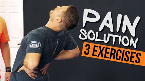 The lower back is complex and can refer so, if you are a visual learner like me, then you know that learning all of the muscles in the human body can be a daunting task if you don't have visuals to. 3 Exercises for TIGHT Hip Flexors & Back Pain in 5 Minutes ...