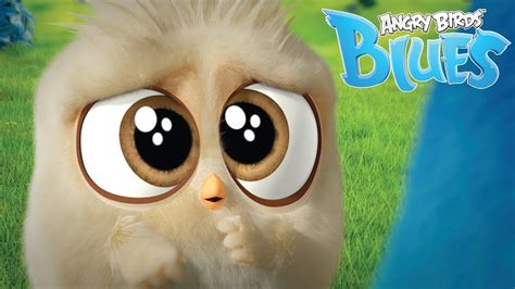 Angry Birds Blues The Science Of Cuteness Hatchlings Youtube
