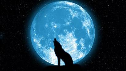 Moon Wolf Howling Wallpapers Desktop Backgrounds