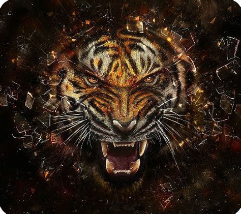 Abstract Tiger Wallpapers Top Những Hình Ảnh Đẹp
