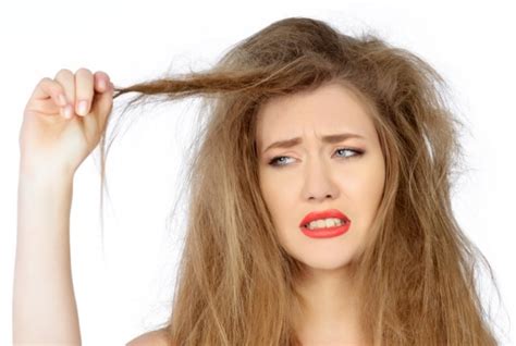How To Take Care Of The Rough Hair Easy Recipes And Fashion Trends