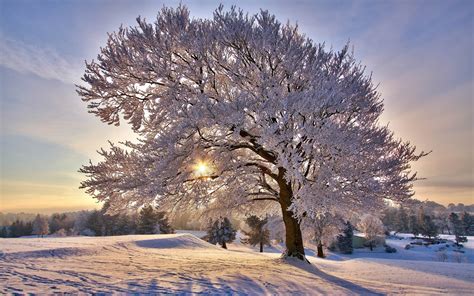 Beautiful Winter Morning Winter Landscape Desktop Wallpapers 2560x1600