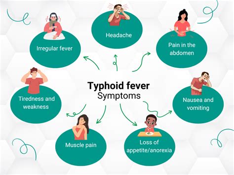 Typhoid Fever A Life Threatening Bacterial Infection Prime Plus Medical