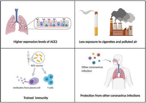 Frontiers Distinct Characteristics Of Covid 19 Infection In Children