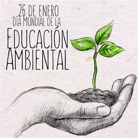 Día Mundial De La Educación Ambiental 26 De Enero Zamtsu Ambiental
