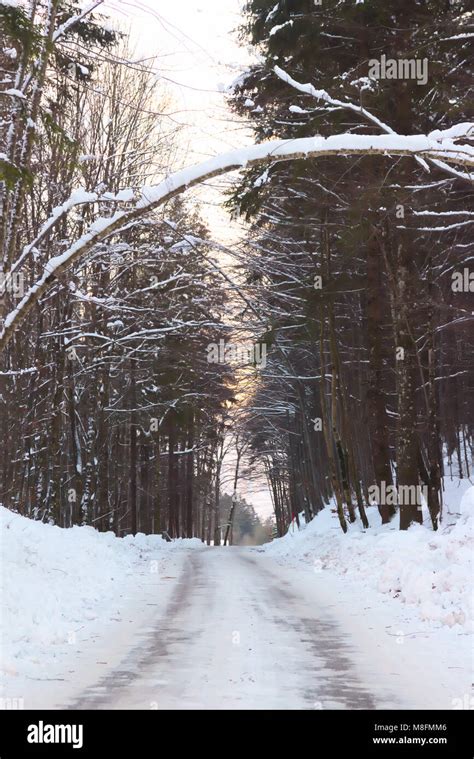 Snowy Winter Country Road Stock Photo Alamy