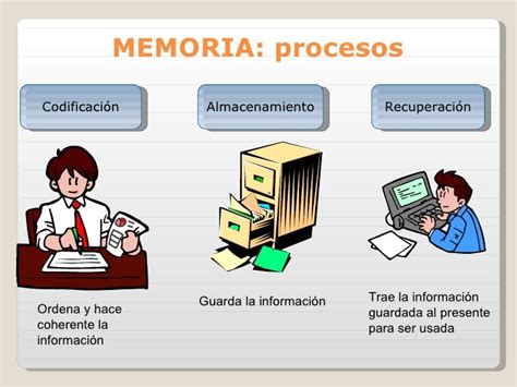 Concepto Y Tipos De Memoria Memoria Comprensiva