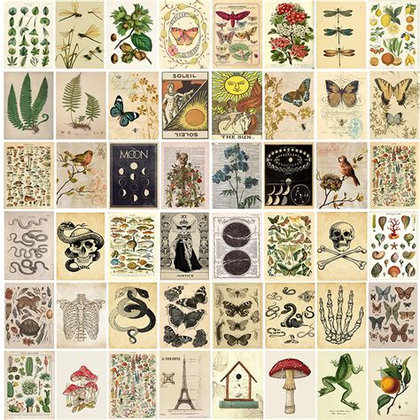 Buy Vintage Wall Collage Kit Aesthetic Pictures Cottagecore Botanical