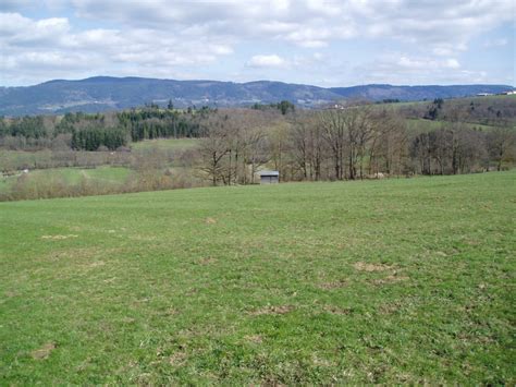 A vendre terrain agricole de 15 hectares fertile et bien entretenue situé à mater. Propriété équestre Arlanc - Terre agricole Auvergne