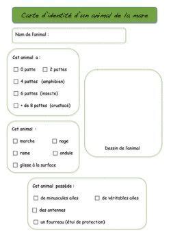 Un certificat provisoire est d'ailleurs délivré dès que l'animal est pucé et le propriétaire reçoit quelques jours plus tard une carte d'identification portant prouver l'identité de l'animal et la légitimité de son propriétaire. carte d'identité d'un animal de la mare