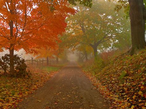 40 Crazy Awesome Autumn Pictures