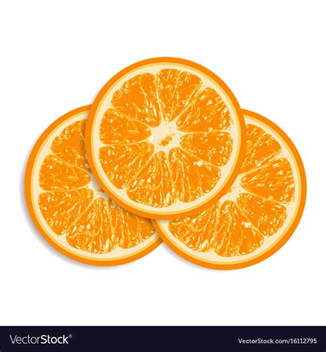 Fresh Oranges Isolated On White Background Vector Image