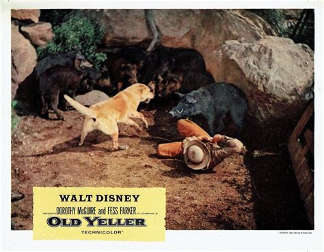 He wanted no part of the dog, but. 😊 The book old yeller summary. Favorite Quotes from 'Old ...