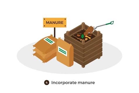 How To Make Compost Step By Step Guide Awaken