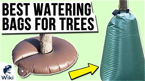 10 Best Watering Bags For Trees 2020 Youtube