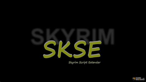 The skyrim script extender (skse) is a tool used by many skyrim mods that expands scripting capabilities and adds additional functionality to the game. Skyrim Script Extender (SKSE) v 1.6.16 for TES V Skyrim