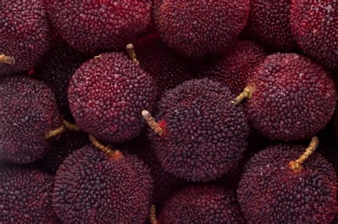 12 Strange Yet Beautiful Fruits And Vegetables Mental Floss