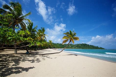 Madagaskar, die viertgrößte insel der erde, beherbergt eine einzigartige fauna und flora. Andilana Beach, Nosy Bé | Madagascar paysages, Voyage en ...