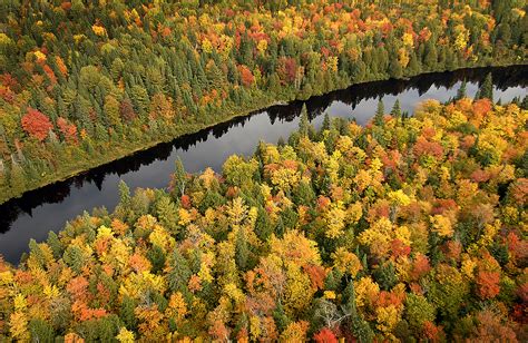 Michigan Dnr Seeks Input On Management Of State Forest Land