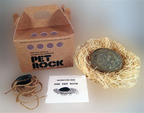 Pet Rock The Pet Rock Is Back The Perfect T For The Person