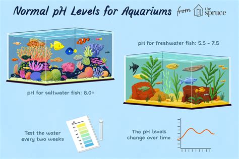 Aquarium Water Ph Maintenance