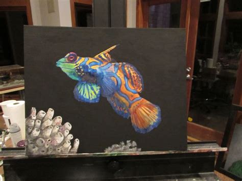 Mandarin Fish Acrylic On Canvas Panel 12x16 Painting Mandarin