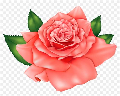 20 Última Imagenes De Flores Y Rosas Para Imprimir Alyshia Kanters Blogs