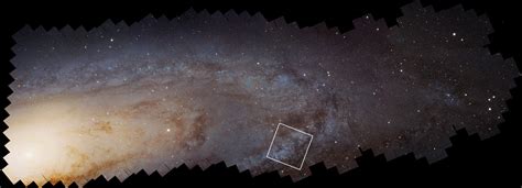 Hubbles Andromeda Galaxy Survey Unlocks Clues To Star