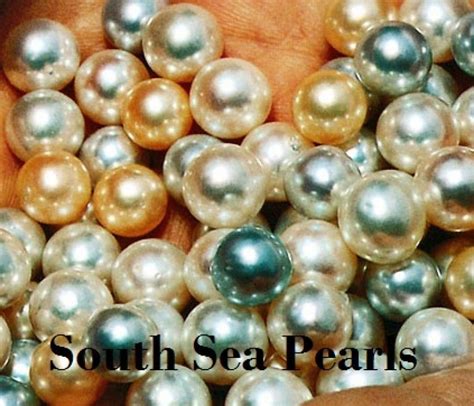 Freshwater Vs Saltwater Pearls What Is The Difference