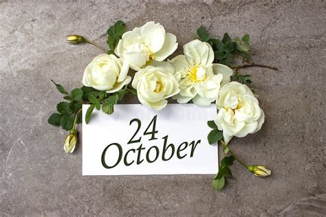 October 24th Day 24 Of Month Calendar Date White Roses Border On