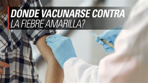 ¿dónde Vacunarse Contra La Fiebre Amarilla Actualizado 2020