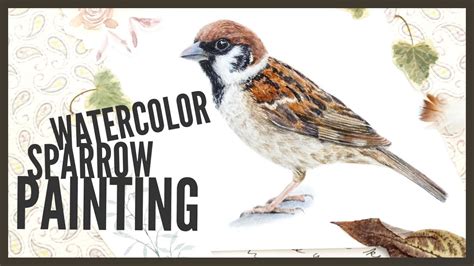 Watercolor Sparrow Painting YouTube