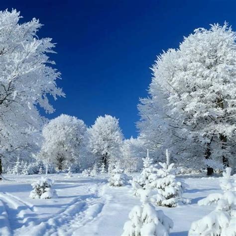 Pin By Csuszo Ibolya On Teli Kepek Pictures Snow Scenes Scenery