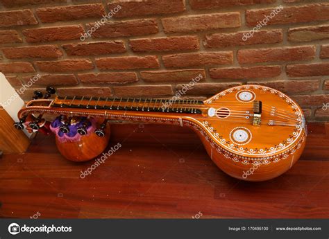 Veena Is A String Instrument Lupon Gov Ph