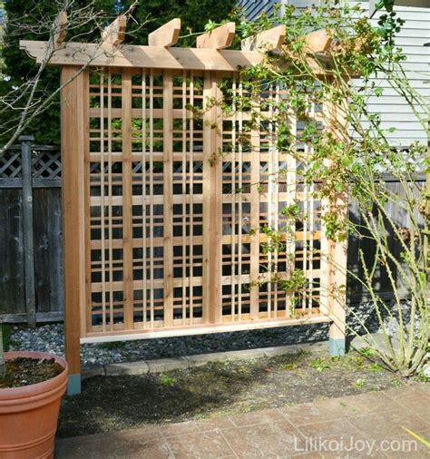 17 Best Images About Easy Trellis On Pinterest Wall Trellis Pipes