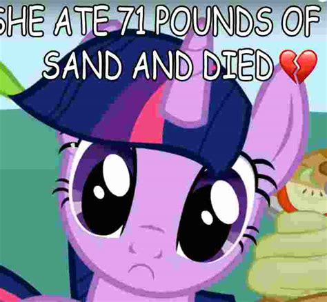 Twilight Sparkle Ate 71 Pounds Of Sand And Died He Ate 71 Pounds Of