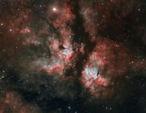 Sadr Region Nebula Complex In Cygnus Sky And Telescope Sky And Telescope
