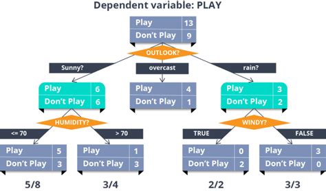 Top Machine Learning Common Algorithms Enouvo