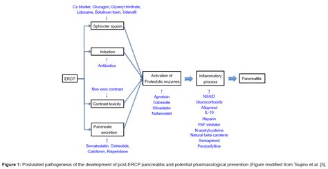 Pancreatic Disorders Therapy Post Ercp Pancreatitis