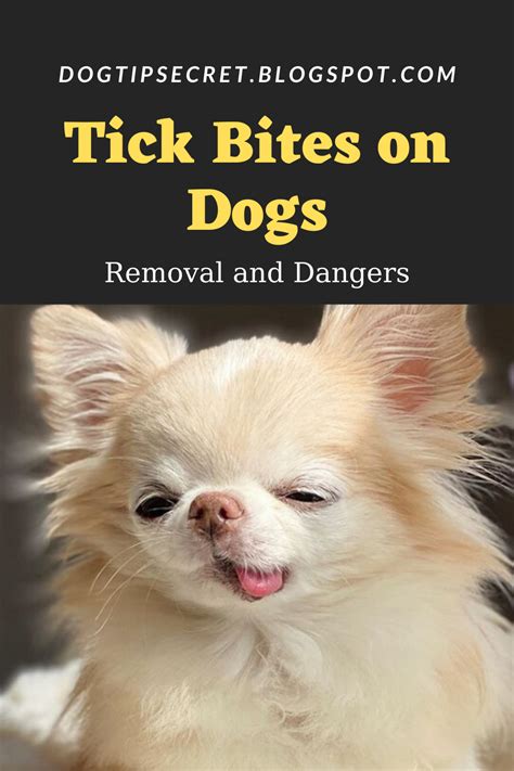 Tick Bites On Dogs Dog Health Tips Dog Tips Secret