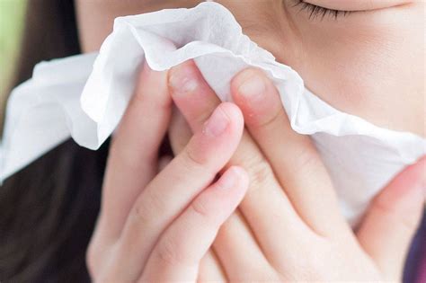 Jangan lupa baca juga tata cara sholat jum'at untuk menambah wawasan kamu untuk lebih kusyu dalam melakukan sholat jum'at denga benar. Virus Influenza A Makin Menular, Semua Masjid Di Johor ...