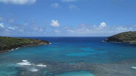 Snorkelfest Snorkel Hanauma Bay Honolulu Hi Top Tips Before You Go