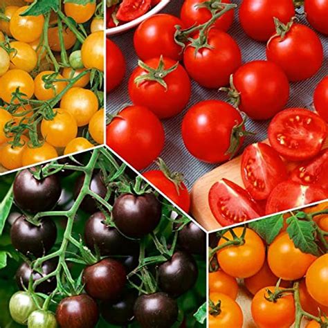 Our Best Cherry Tomato Seed Top 10 Picks Bnb
