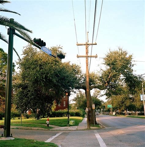 Urban Forest Photography By Colleen Mullins Amusing Planet