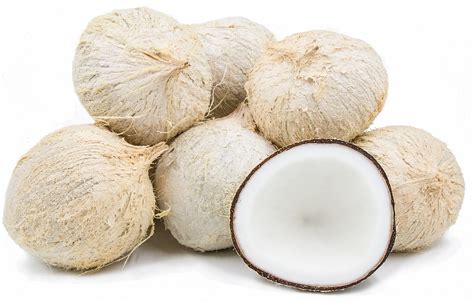 White Coconuts Information Recipes And Facts