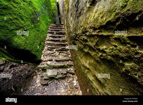 Rim Rock National Recreation Trail, Shawnee National Forest, Illinois