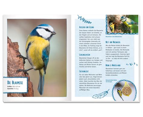 Mit diesem schönen soundbuch kommen kleine und große vogelfreunde 12 verschiedene arten auf die spur. Vögel in unserem Garten, Soundbuch - betzold.de